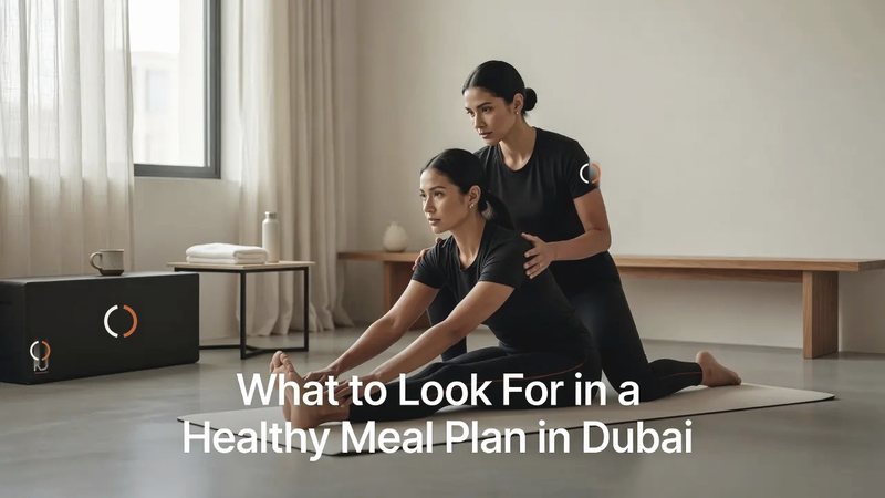 What to Look For in a Healthy Meal Plan in Dubai &mdash; SHUYO Dubai